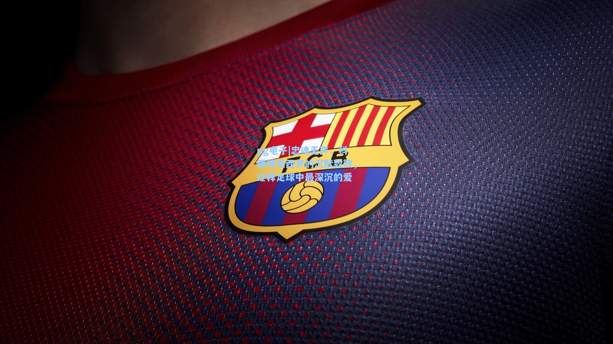 忠魂无声,科隆博圣西罗的沉默致敬,诠释足球中最深沉的爱