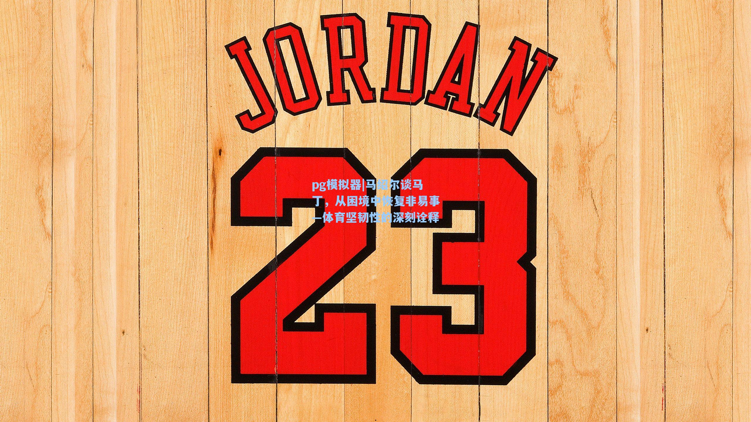 马绍尔谈马丁,从困境中恢复非易事—体育坚韧性的深刻诠释